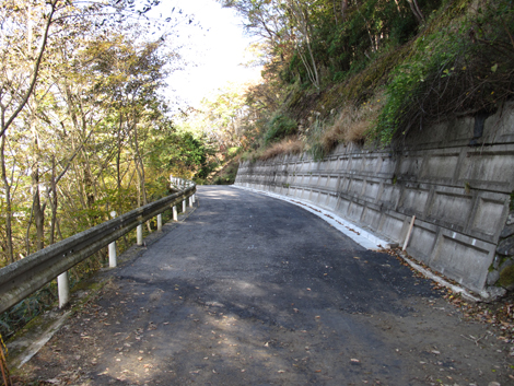 20181115hike (116)